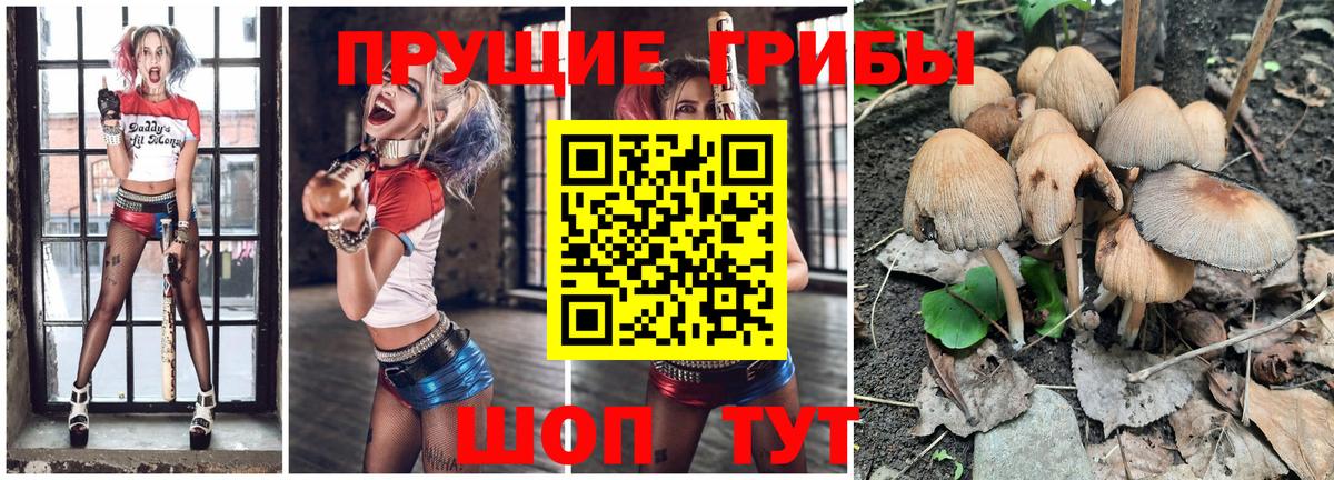 Чебоксары  Псилоцибиновые грибы Cubensis  Галлюциногенные грибы прущие грибы  Вход с VPN 